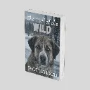 Untitled design (7) (2).webp